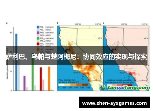 萨利巴、乌帕与楚阿梅尼：协同效应的实现与探索