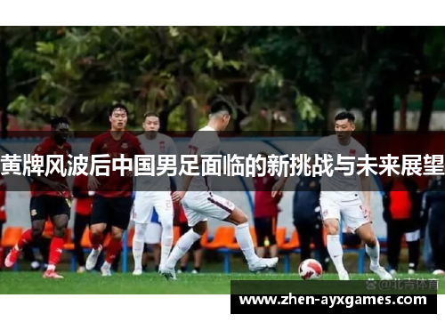 黄牌风波后中国男足面临的新挑战与未来展望